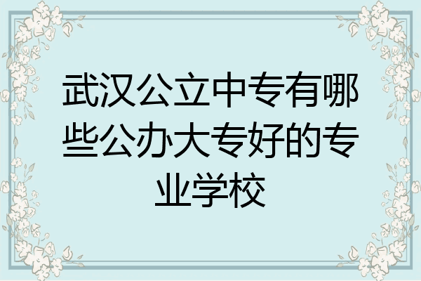 武汉公立中专有哪些公办大专好的专业学校
