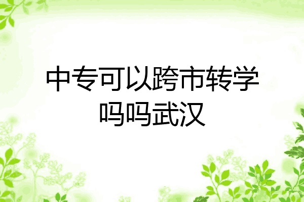 中专可以跨市转学吗吗武汉