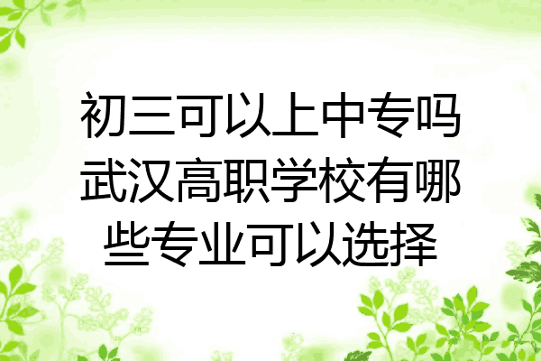 初三可以上中专吗武汉高职学校有哪些专业可以选择