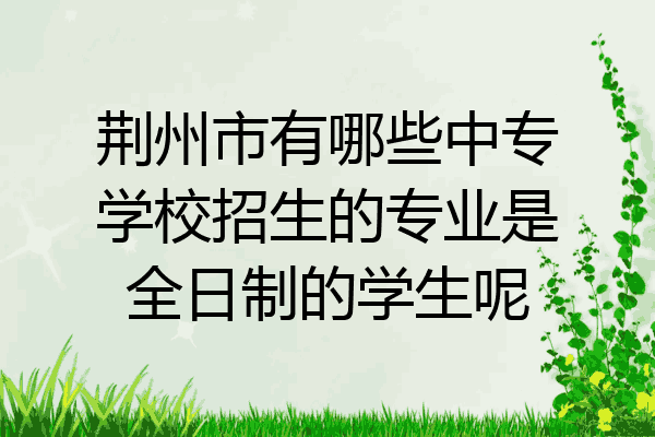 荆州市有哪些中专学校招生的专业是全日制的学生呢
