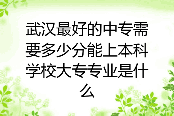 武汉最好的中专需要多少分能上本科学校大专专业是什么