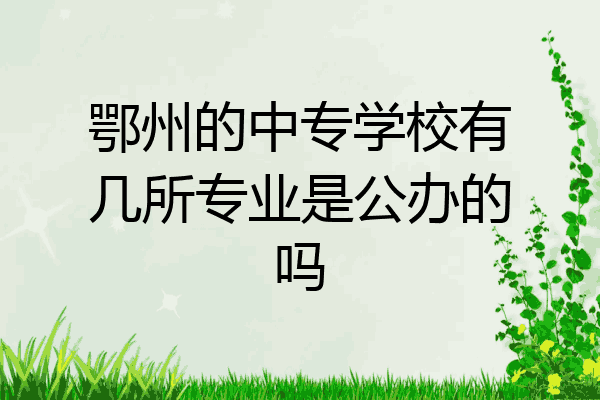 鄂州的中专学校有几所专业是公办的吗