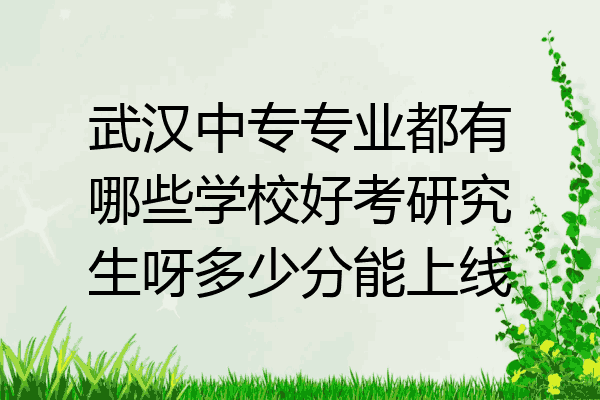 武汉中专专业都有哪些学校好考研究生呀多少分能上线