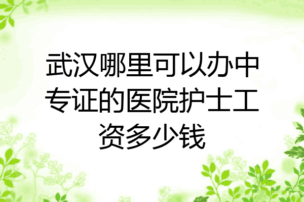 武汉哪里可以办中专证的医院护士工资多少钱