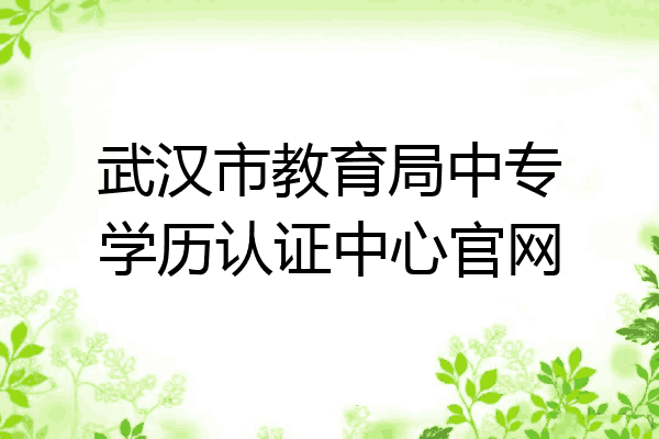 武汉市教育局中专学历认证中心官网