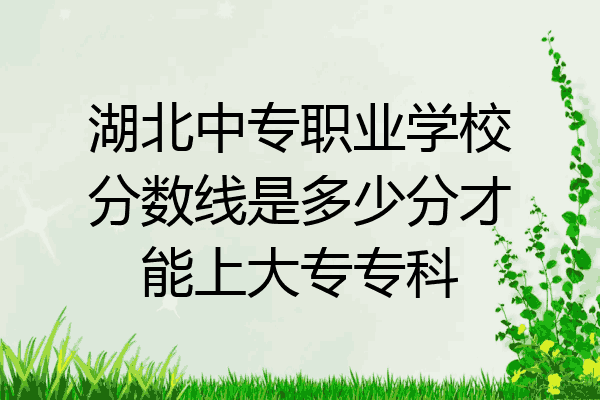 湖北中专职业学校分数线是多少分才能上大专专科