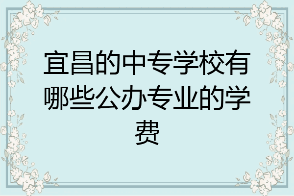 宜昌的中专学校有哪些公办专业的学费