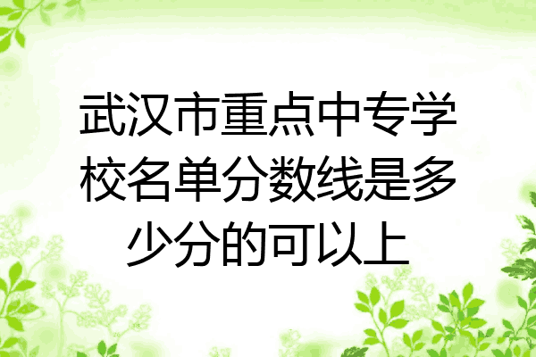 武汉市重点中专学校名单分数线是多少分的可以上