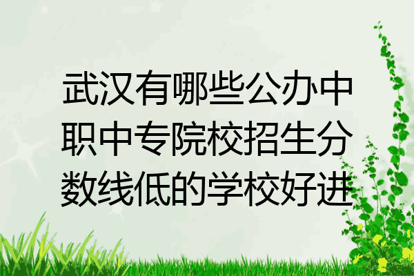 武汉有哪些公办中职中专院校招生分数线低的学校好进