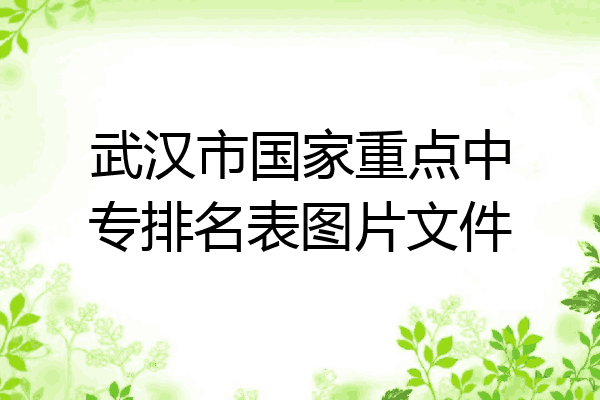 武汉市国家重点中专排名表图片文件