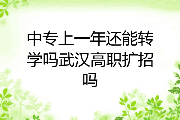 中专上一年还能转学吗武汉高职扩招吗