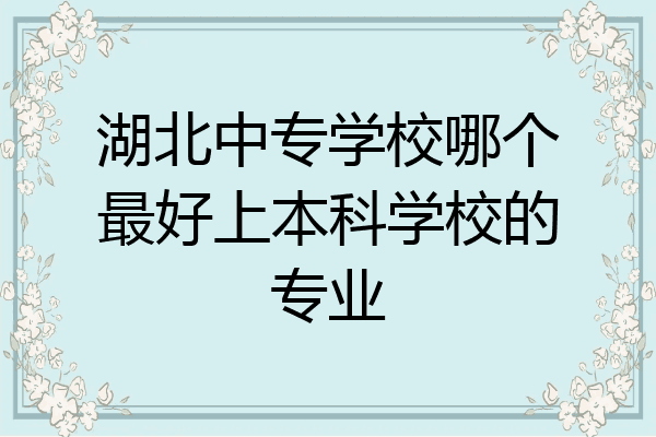 湖北中专学校哪个最好上本科学校的专业