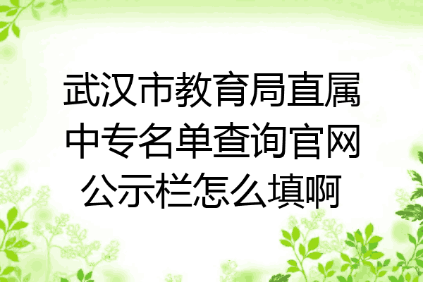 武汉市教育局直属中专名单查询官网公示栏怎么填啊