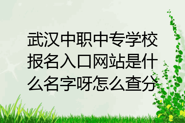 武汉中职中专学校报名入口网站是什么名字呀怎么查分