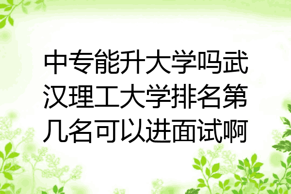 中专能升大学吗武汉理工大学排名第几名可以进面试啊