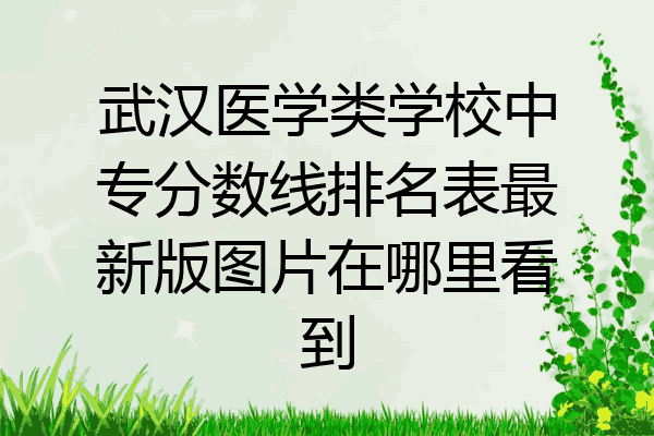 武汉医学类学校中专分数线排名表最新版图片在哪里看到