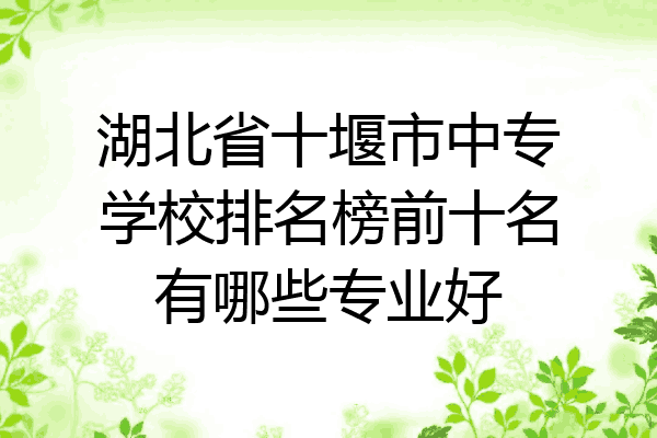 湖北省十堰市中专学校排名榜前十名有哪些专业好