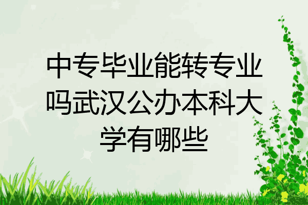 中专毕业能转专业吗武汉公办本科大学有哪些
