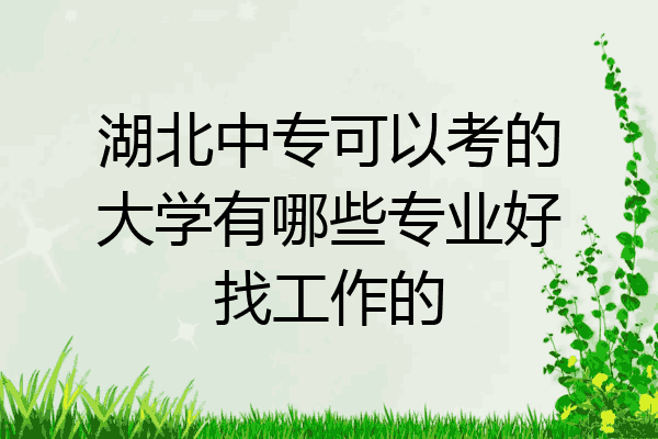 湖北中专可以考的大学有哪些专业好找工作的