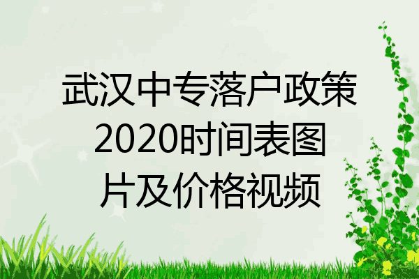 武汉中专落户政策2020时间表图片及价格视频