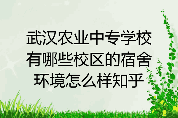 武汉农业中专学校有哪些校区的宿舍环境怎么样知乎