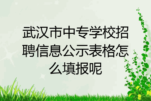 武汉市中专学校招聘信息公示表格怎么填报呢