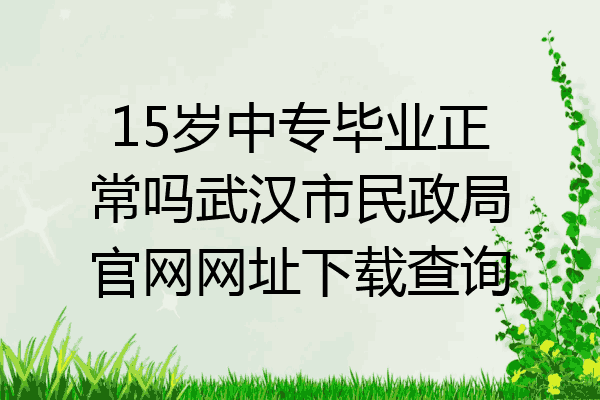 15岁中专毕业正常吗武汉市民政局官网网址下载查询
