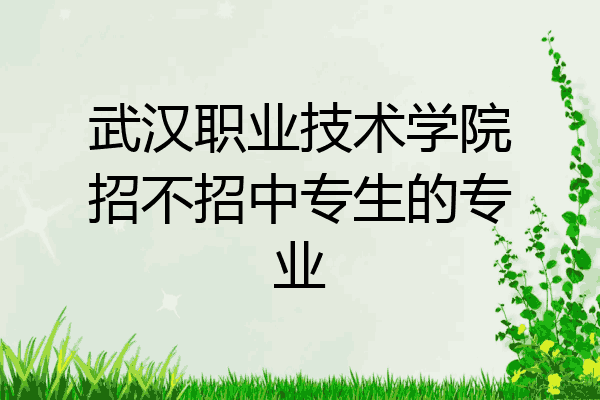 武汉职业技术学院招不招中专生的专业
