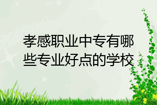 孝感职业中专有哪些专业好点的学校