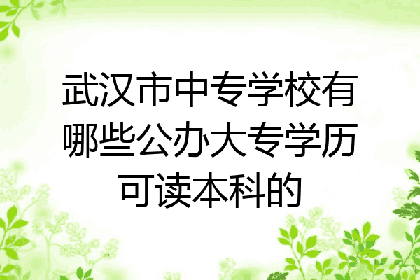 武汉市中专学校有哪些公办大专学历可读本科的
