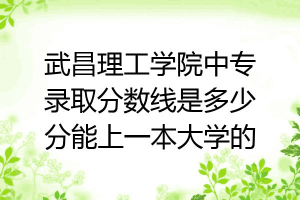 武昌理工学院中专录取分数线是多少分能上一本大学的