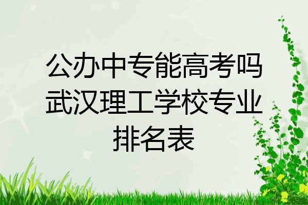 公办中专能高考吗武汉理工学校专业排名表
