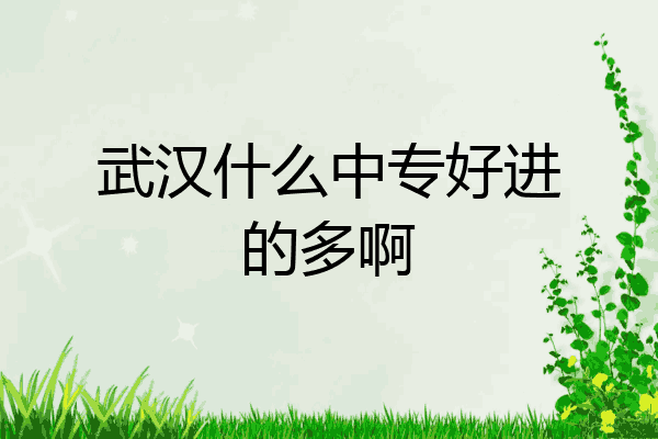 武汉什么中专好进的多啊
