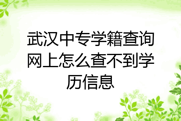 武汉中专学籍查询网上怎么查不到学历信息