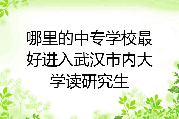 哪里的中专学校最好进入武汉市内大学读研究生