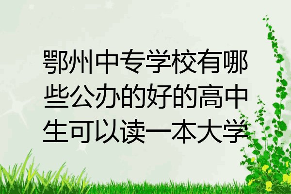 鄂州中专学校有哪些公办的好的高中生可以读一本大学