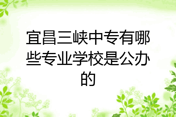 宜昌三峡中专有哪些专业学校是公办的