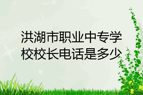 洪湖市职业中专学校校长电话是多少
