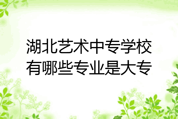 湖北艺术中专学校有哪些专业是大专