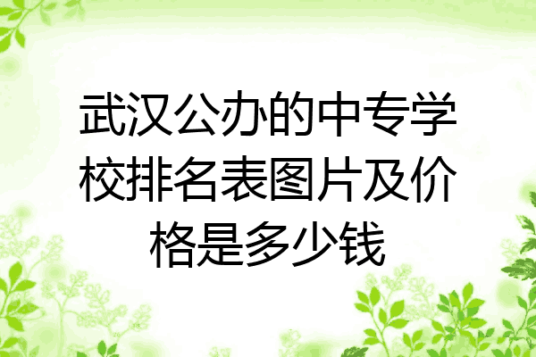 武汉公办的中专学校排名表图片及价格是多少钱