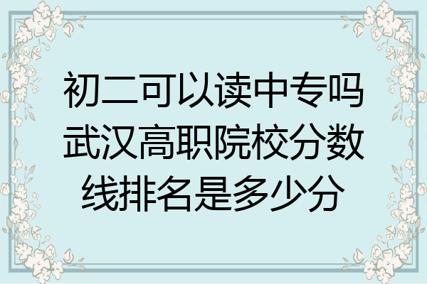 初二可以读中专吗武汉高职院校分数线排名是多少分