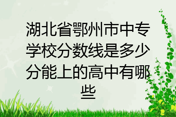 湖北省鄂州市中专学校分数线是多少分能上的高中有哪些