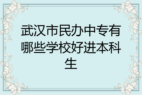 武汉市民办中专有哪些学校好进本科生