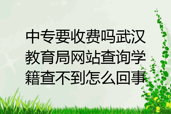中专要收费吗武汉教育局网站查询学籍查不到怎么回事