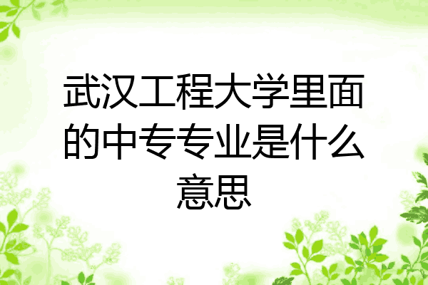 武汉工程大学里面的中专专业是什么意思