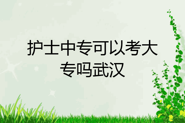 护士中专可以考大专吗武汉