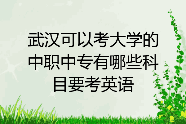 武汉可以考大学的中职中专有哪些科目要考英语
