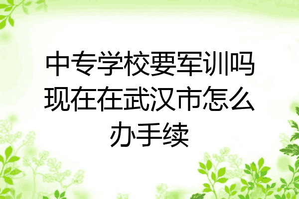 中专学校要军训吗现在在武汉市怎么办手续