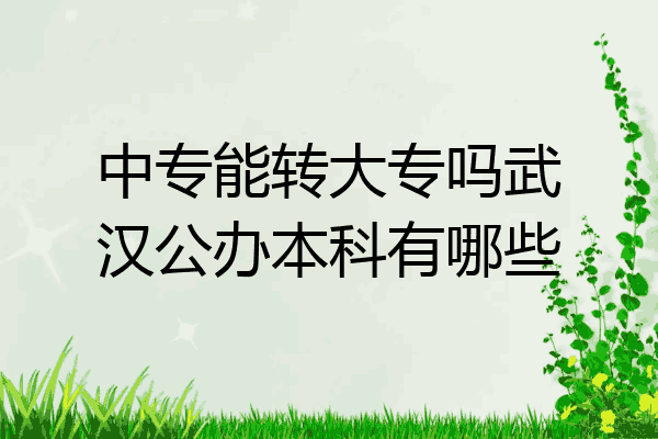 中专能转大专吗武汉公办本科有哪些