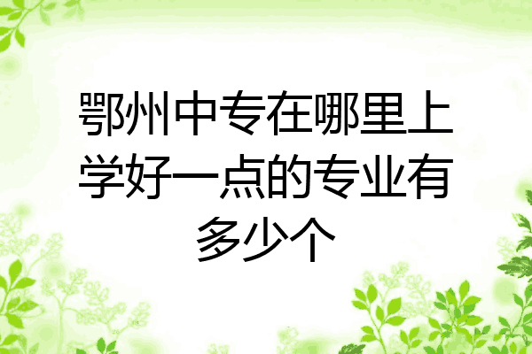 鄂州中专在哪里上学好一点的专业有多少个